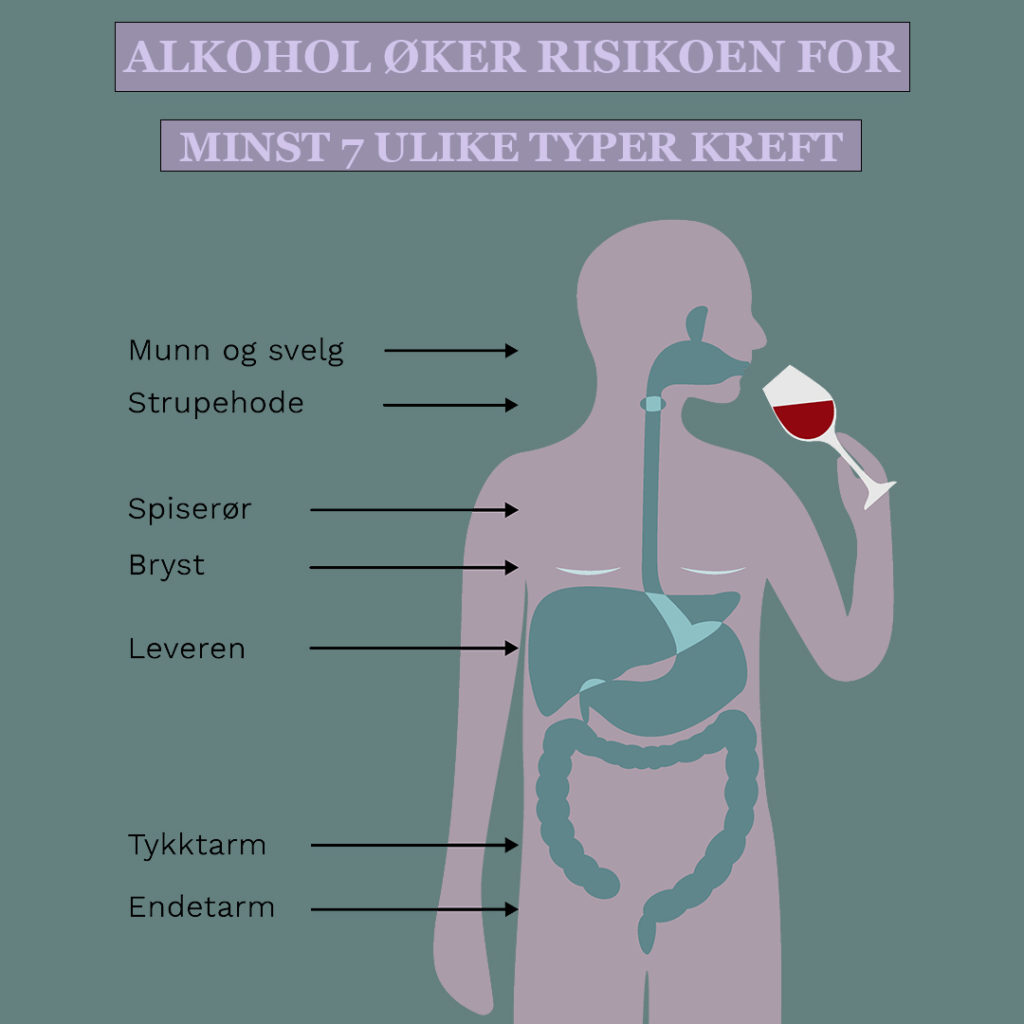Illustrasjon av et menneske sett innenfra. På tegningen står det "alkohol øker risikoen for minst syk ulike typer kreft: munn og svelg, strupehode, spiserør. bryst, lever, tykktarm og endetarm".