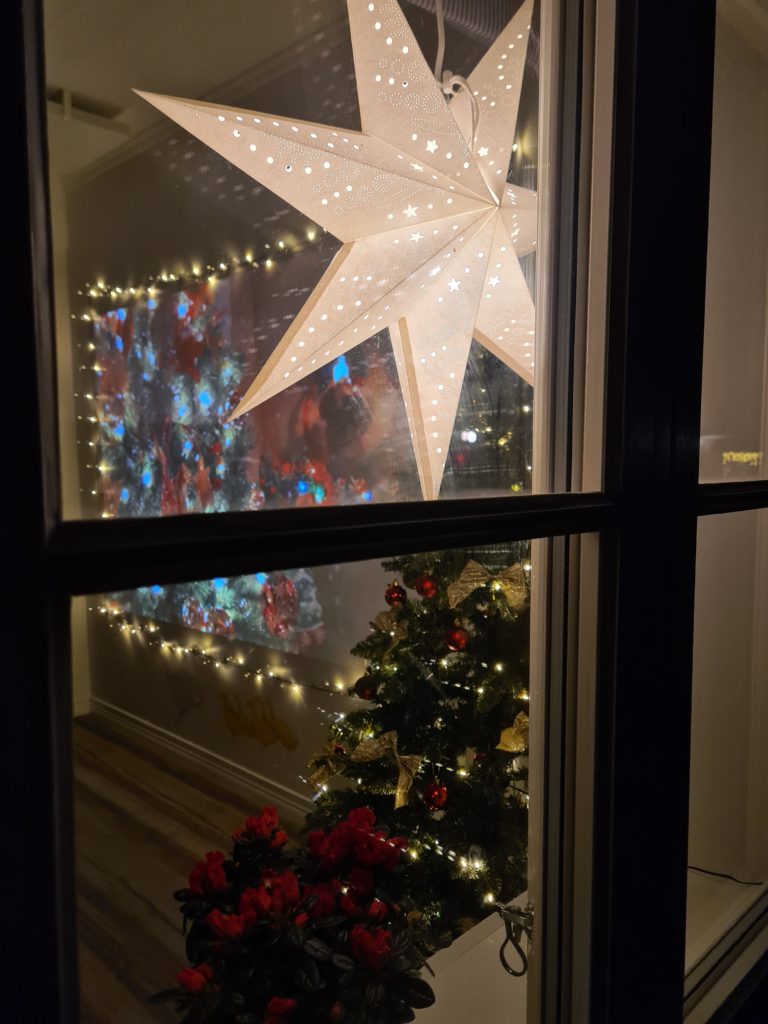 Lokalene var julepyntet.