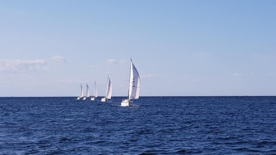 Fem seilbåter på rad på det åpne hav.