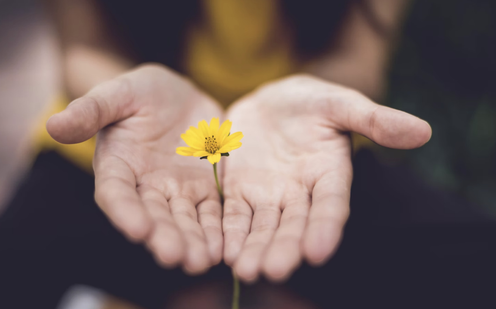 En person strekker håndflatene ut og har en blomst mellom hendene