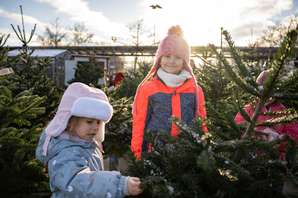 To små jenter ser på et juletre.