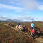 Hesteridning på fjellet