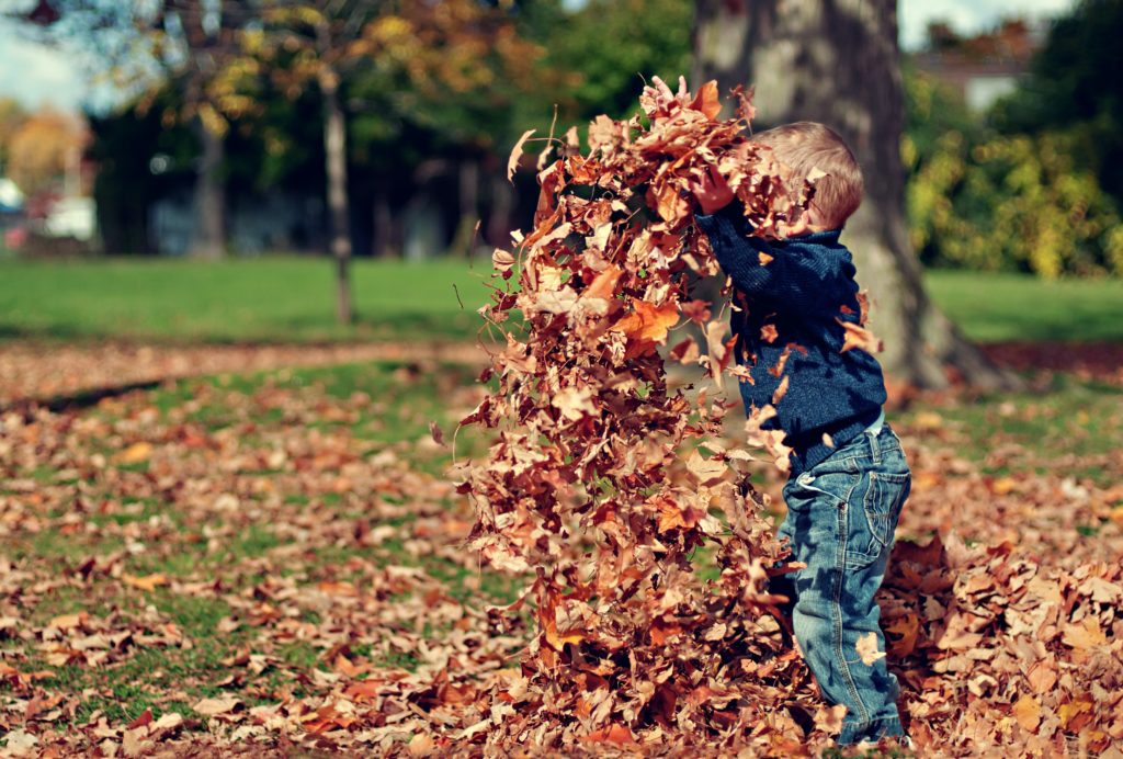 Gutt leker med høstblader
