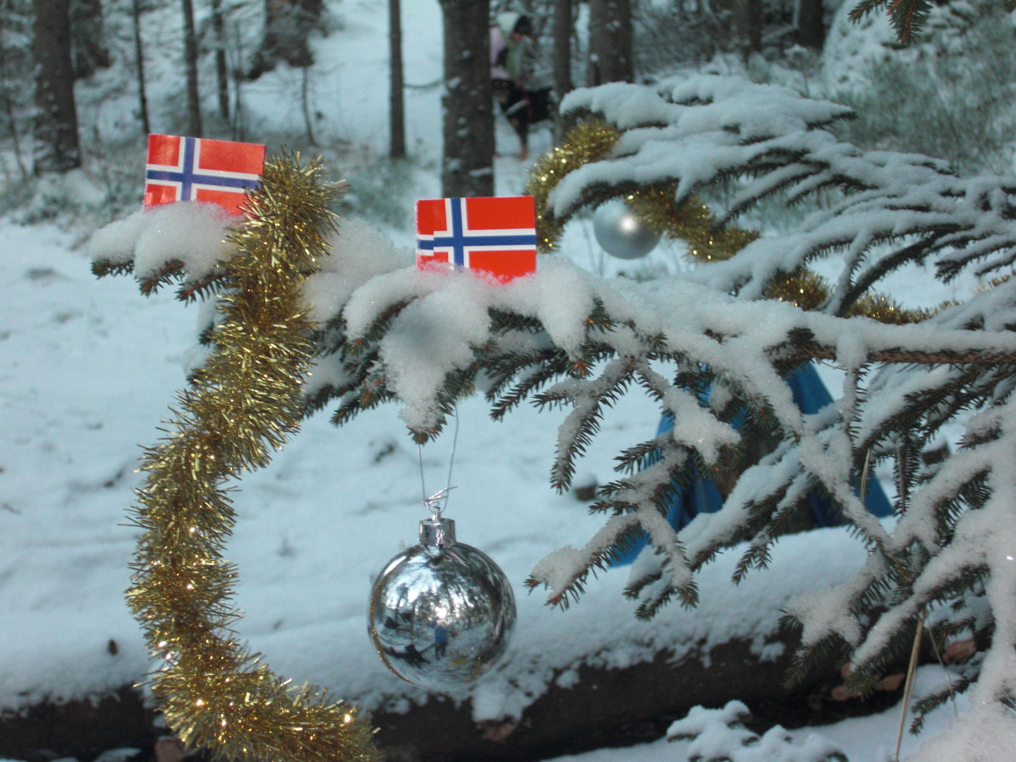 Blå Kors Speideren - juletrefest 2014 - 14.12 (2)