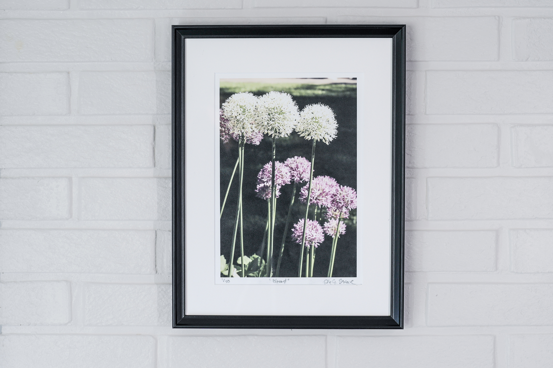 Fotokunst til inntekt for Blå Kors