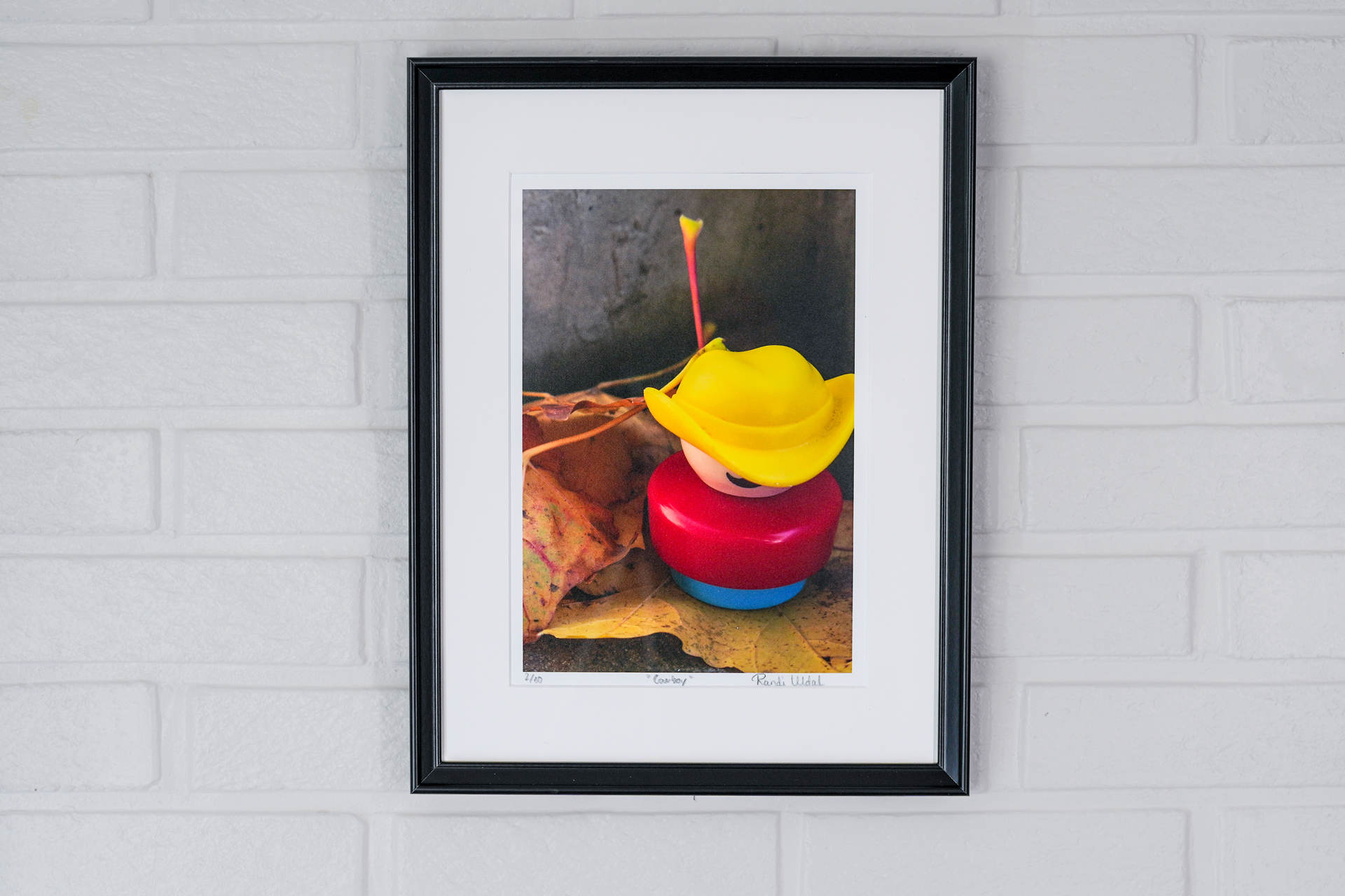 Fotokunst til inntekt for Blå Kors