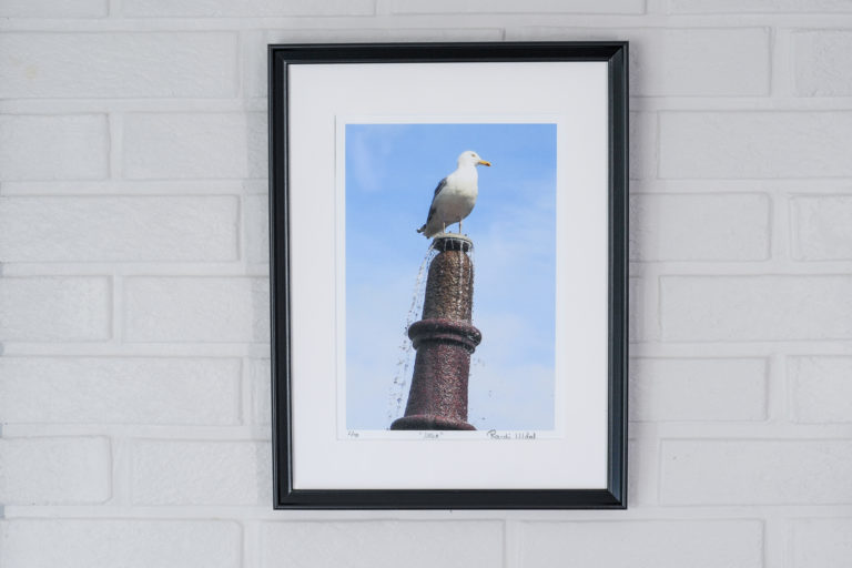 Fotokunst til inntekt for Blå Kors