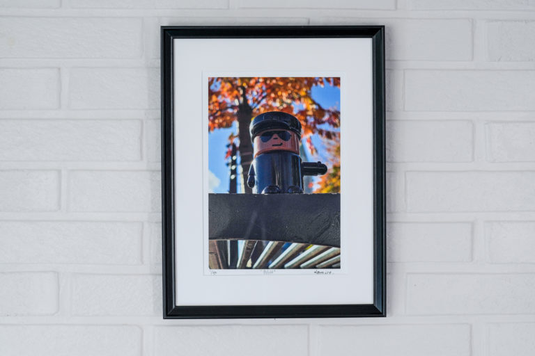 Fotokunst til inntekt for Blå Kors