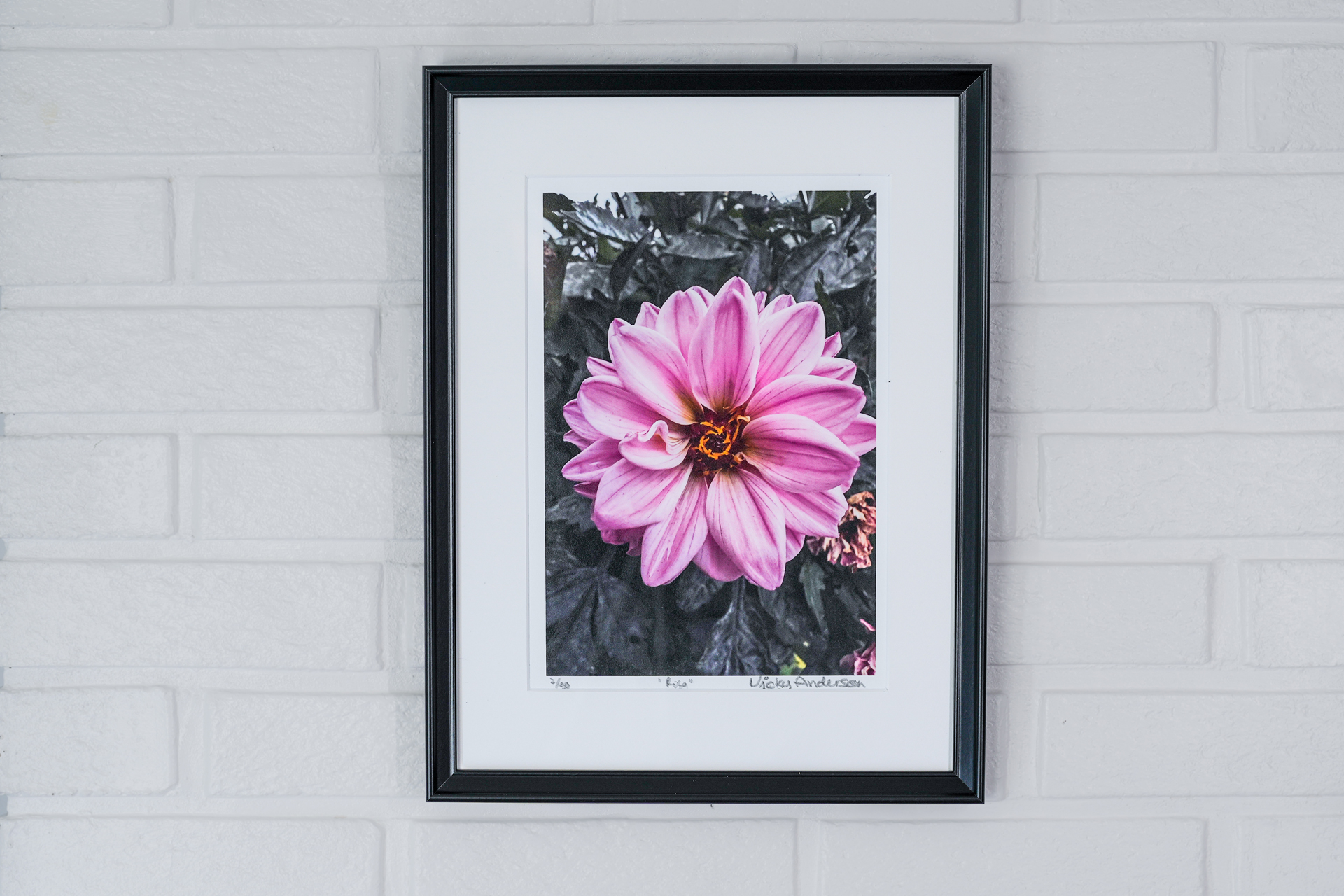 Fotokunst til inntekt for Blå Kors