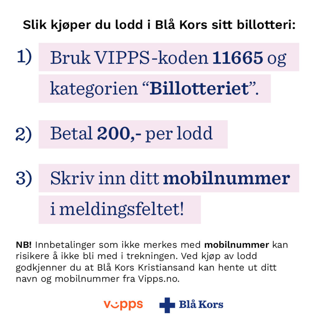 Kjøp lodd i Billotteriet