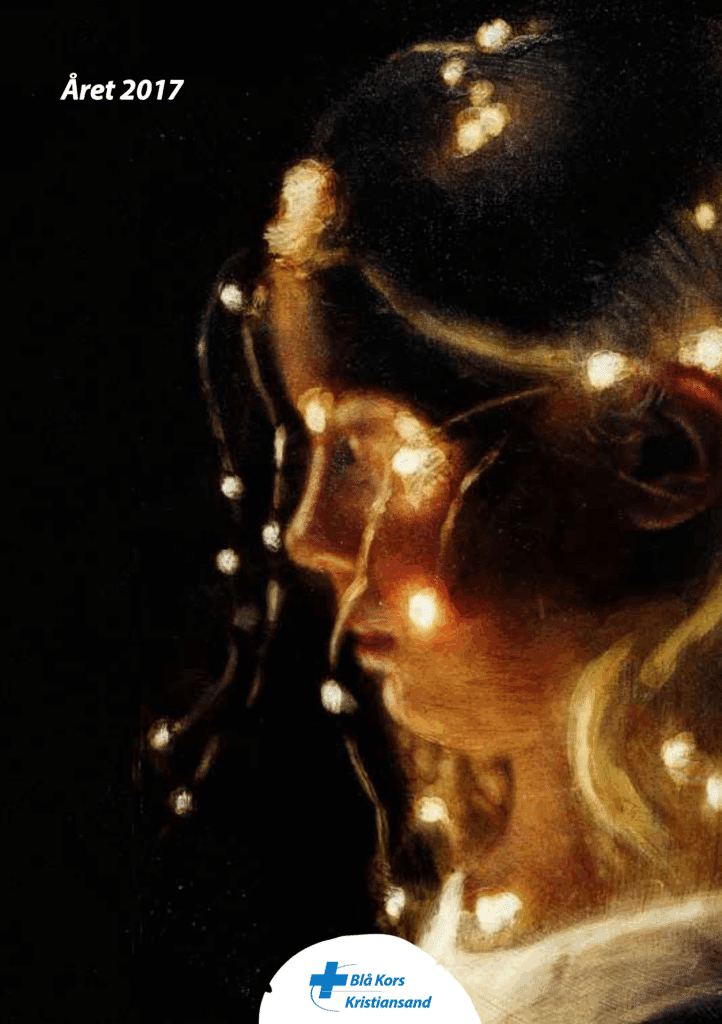 Årsberetning-2017