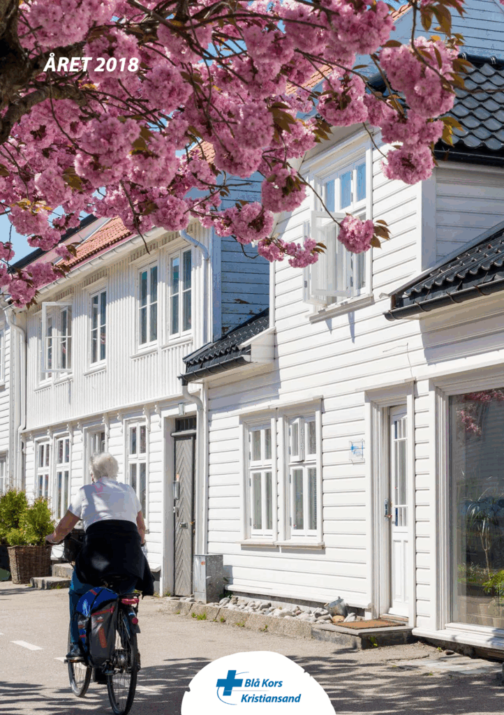 Årsberetning-2018