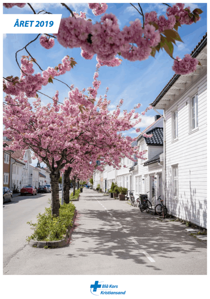Årsberetning-2019