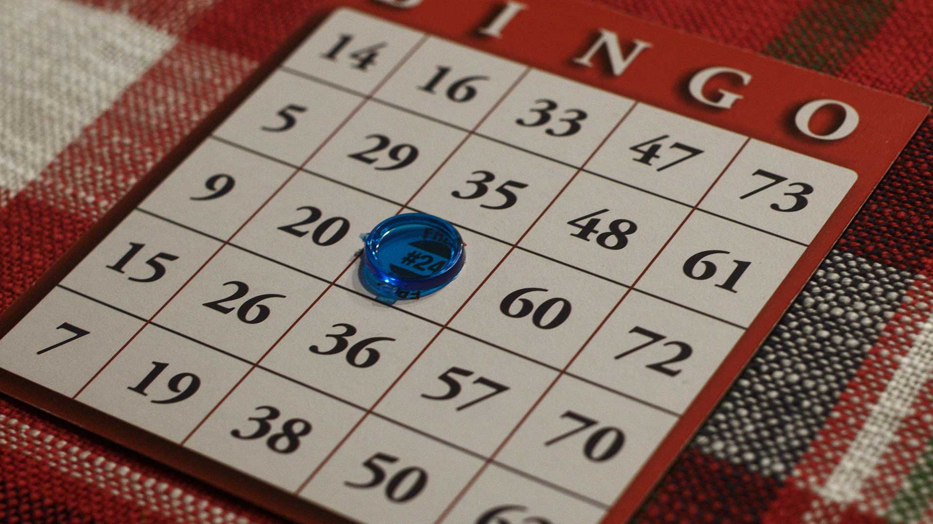 Bingo