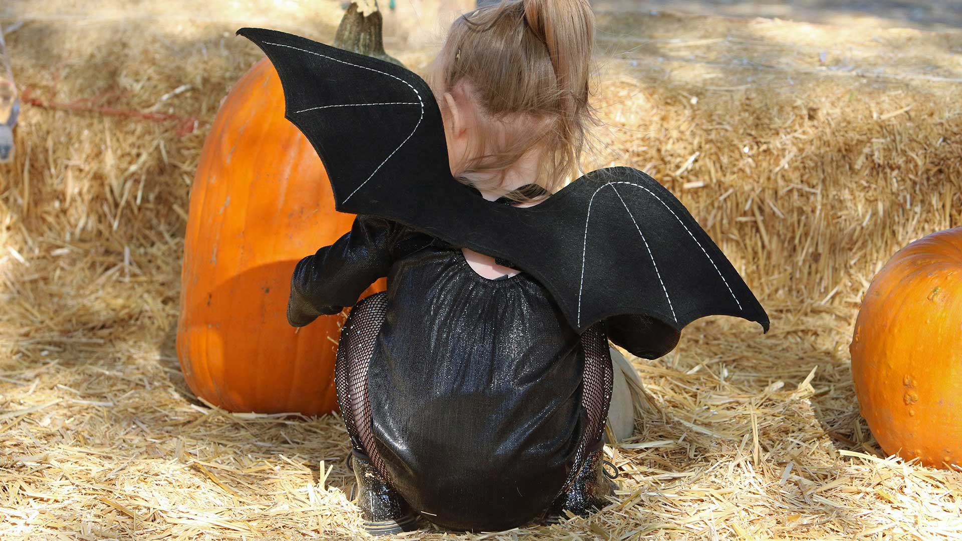 Hallovenn